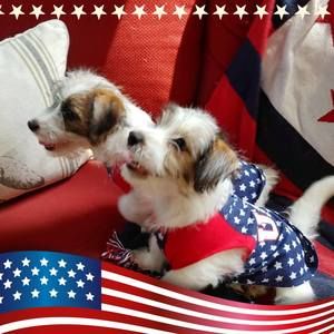 Meet your Posher, Connie